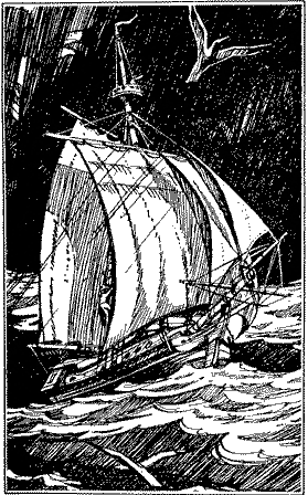 Гнездо чаек Untitled4.png