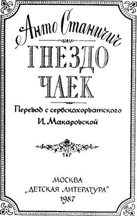 Гнездо чаек Untitled5.png