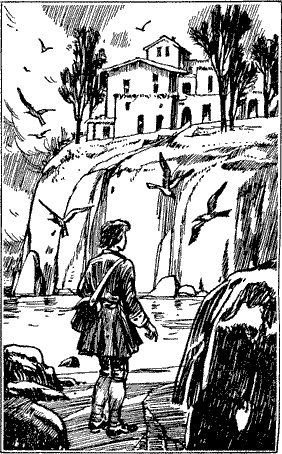 Гнездо чаек Untitled18.png
