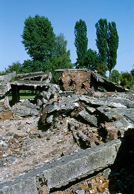 Великая ложь XX века (с дополнительными илл.) i28.jpg