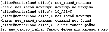 Свободные программы и системы в школе _1_60.png