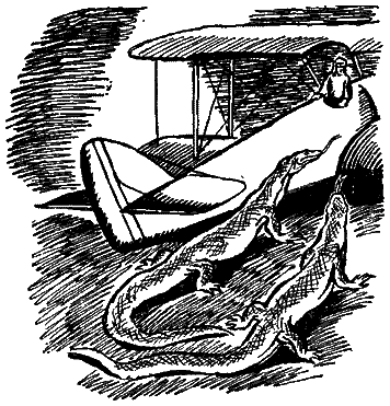Следы невиданных зверей i_61.png